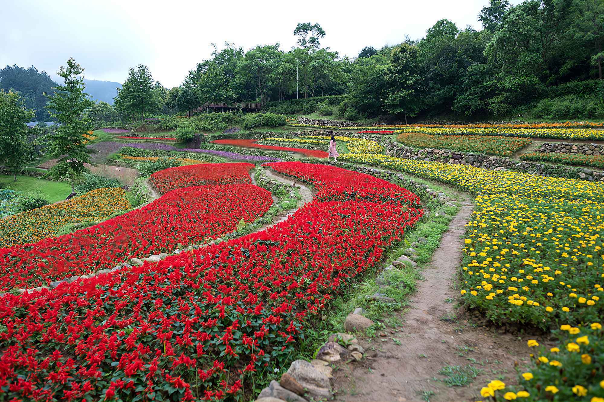 江西首个5A级乡村旅游景点，藏在深山中，景色美如“人间仙境”