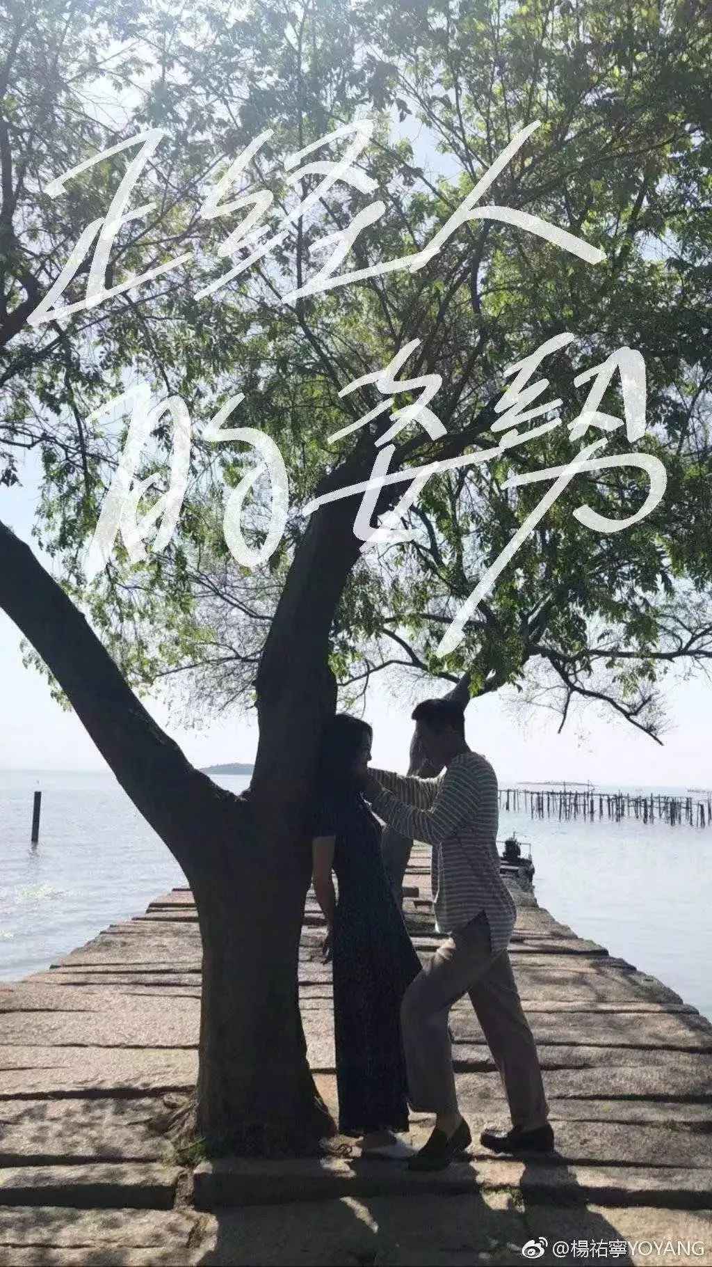 被家人坑，被亲哥打到住院！热播剧《都挺好》刷屏，苏州这条绝美老街也火了！