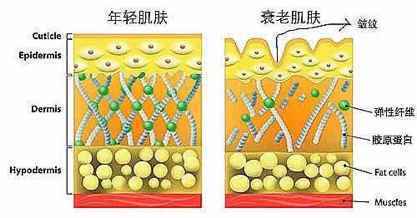 烈日已经到眼前，你却还没挑好防晒霜？