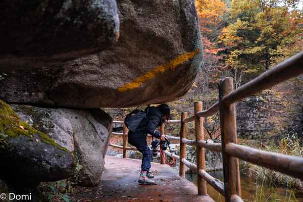 摄影旅行的好去处，洛阳白云山下，此刻秋意正浓