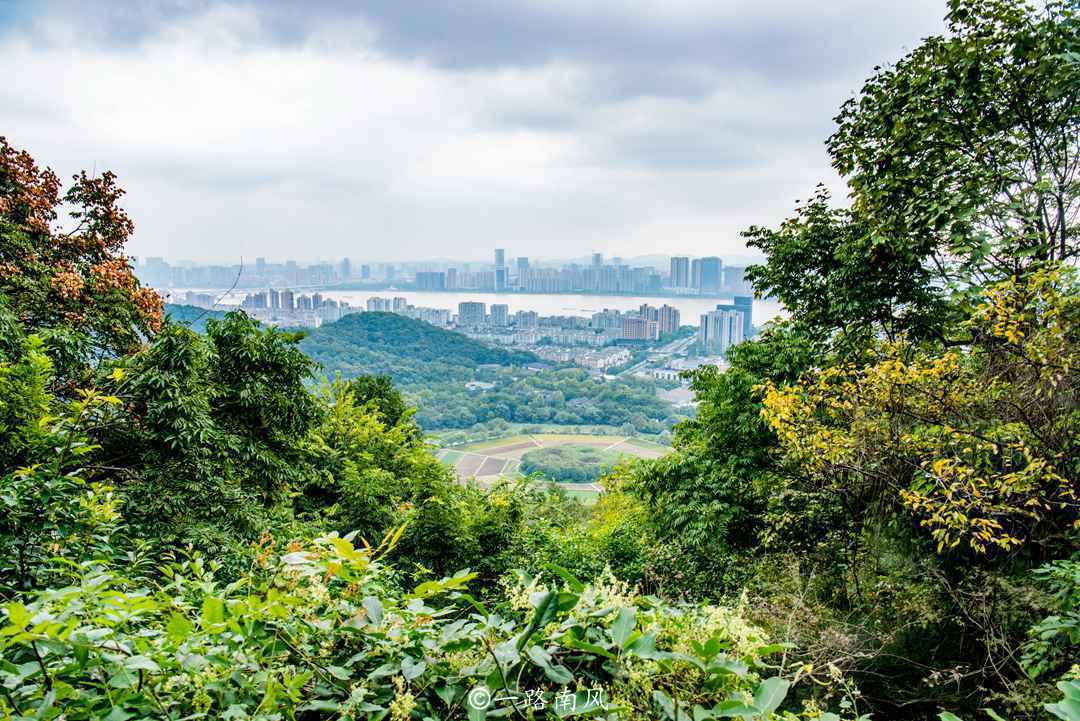 杭州奇特农田，造型像九宫八卦阵，小众景点人少知