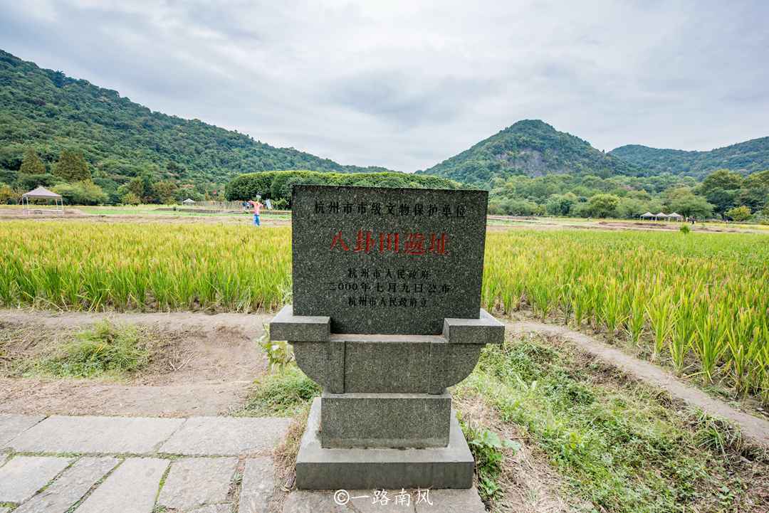 杭州奇特农田，造型像九宫八卦阵，小众景点人少知