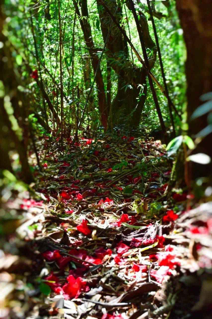 秋色不输江南，颜值媲美桂林，这个被上帝宠坏的地方，霸占了中国几乎一半的美！一定要在秋天去一次！