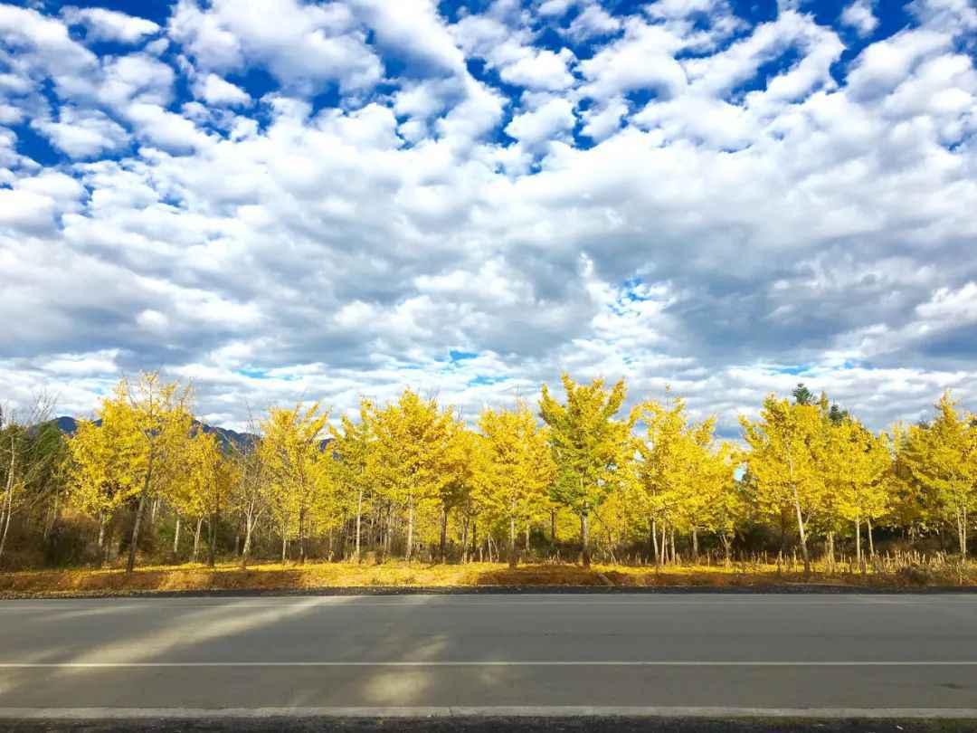 腾冲古村里的春夏秋冬四季景色，千姿百态，冬景排名云南前三！