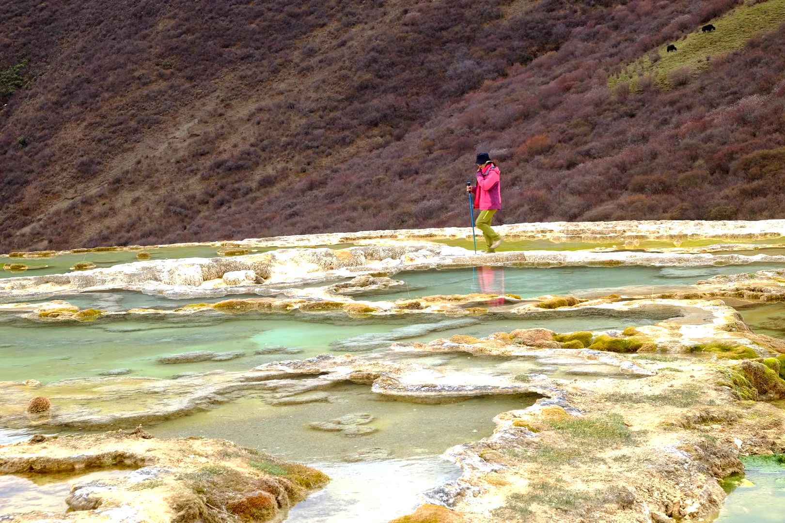 川西小众旅行路线推荐｜冷噶措 墨石公园 新都桥 泉华滩深度摄影4日