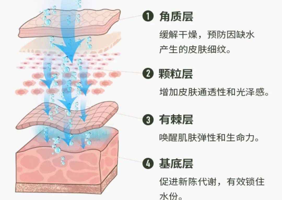 让你的桌面元气满满！可DIY绿植的小小加湿器，超暖心超可爱