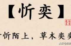 宝宝起名#金秋生猪宝宝，起个最美的名字