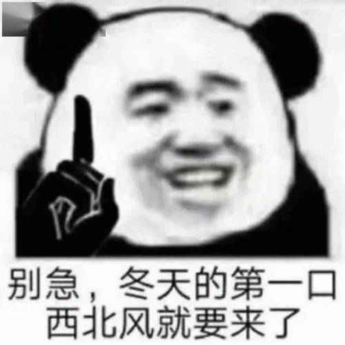 2020秋冬帽子101来了！金晨同款我要送它出道！