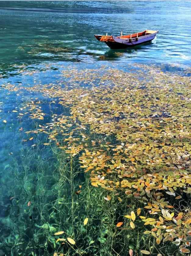 不出川过暖冬，去凉山追阳光