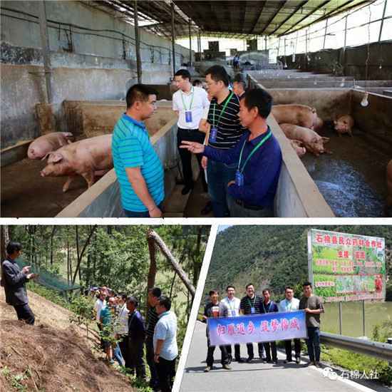 归雁返乡 筑梦石棉 石棉县举办返乡下乡创业大会暨返乡创业成果展示会