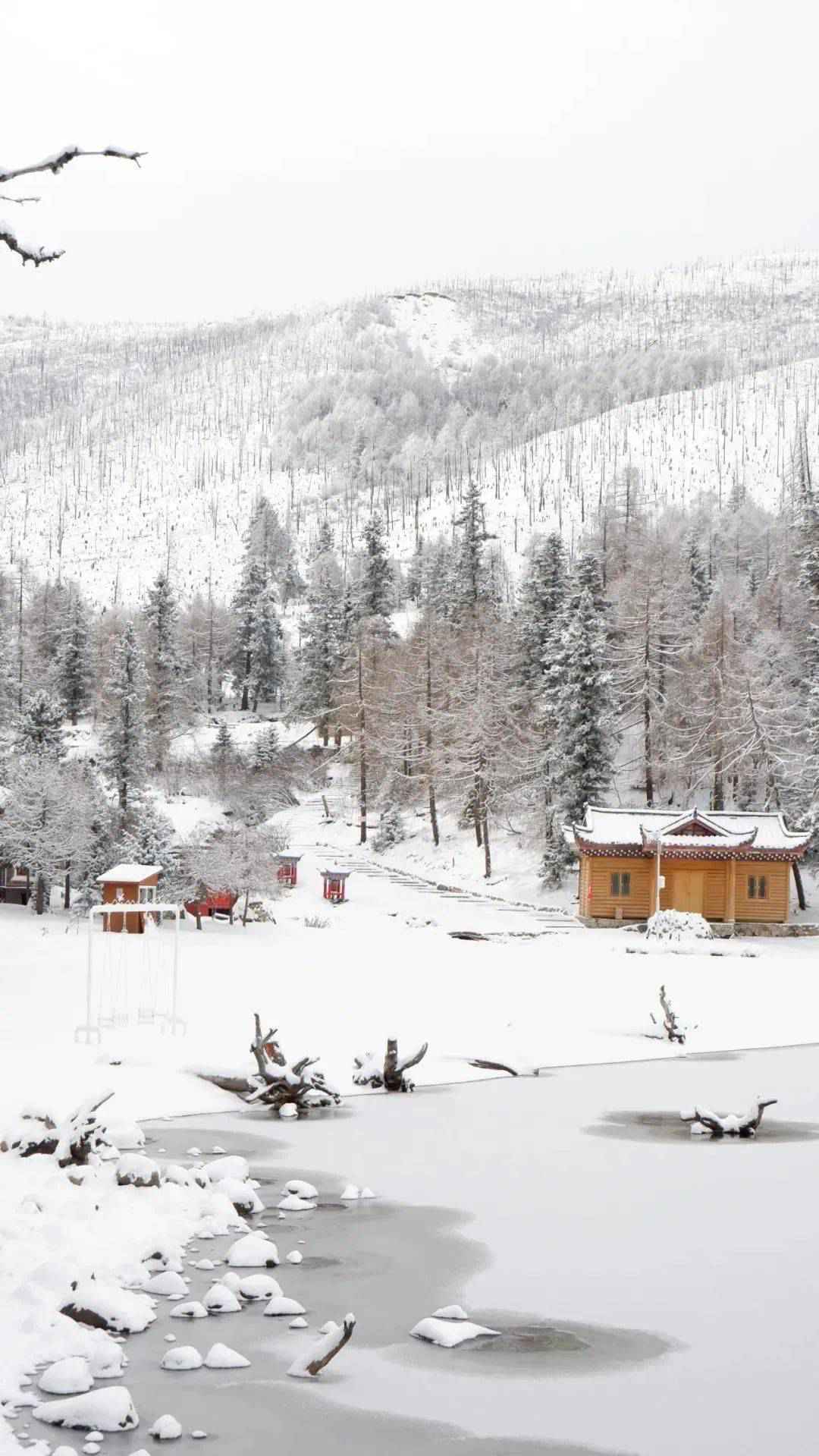 当天打回来！2h直达的成都周边赏雪地，人少不打挤，景色超惊艳！