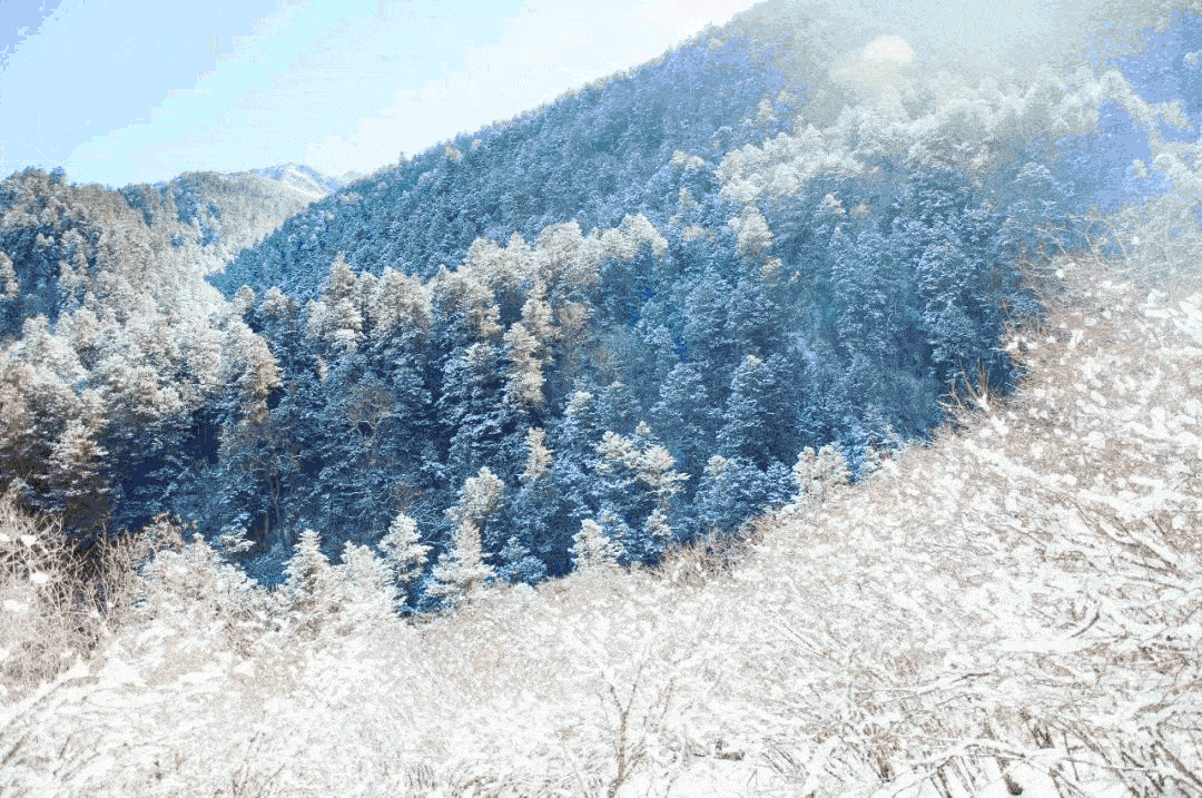 当天打回来！2h直达的成都周边赏雪地，人少不打挤，景色超惊艳！