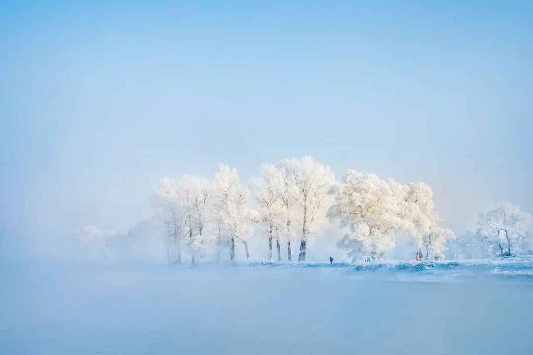 去雪乡一定要有的体验，避坑？省钱？玩尽兴！少有人知的绝密指南~