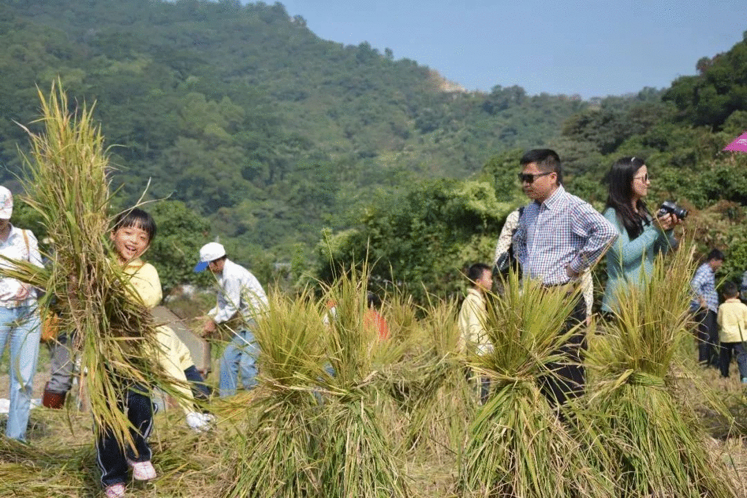 丁真被认作“西藏人”背后，一种全新的旅游方式正悄然兴起