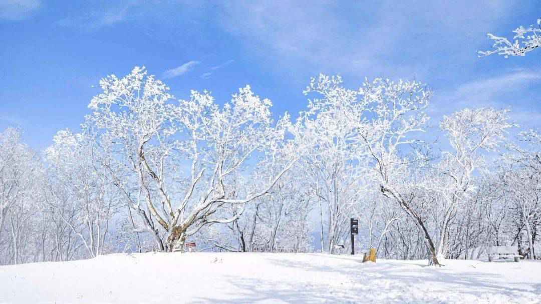 无滑雪不冬天！伏牛山滑雪度假乐园掀起中原滑雪运动热潮！