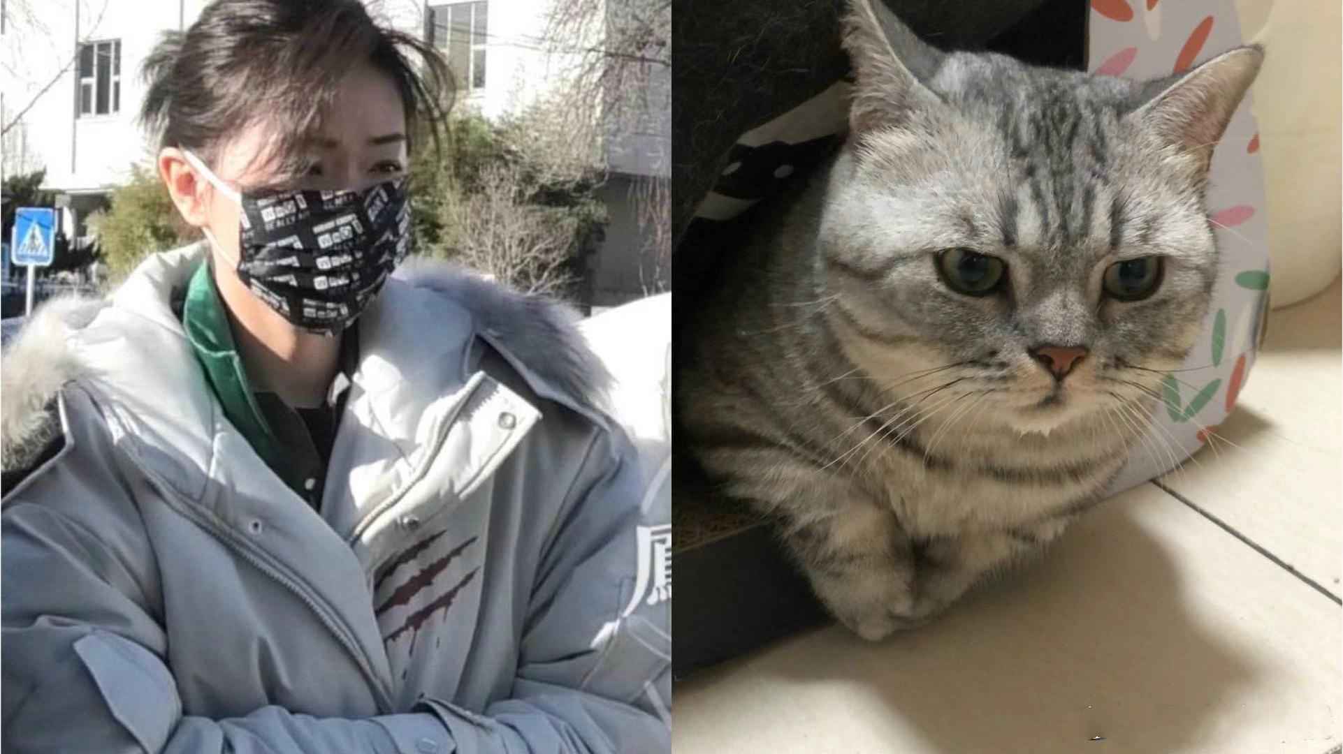 春晚彩排明星穿什么？张雨绮穿羽绒服壕气背爱马仕，倪妮背布袋子