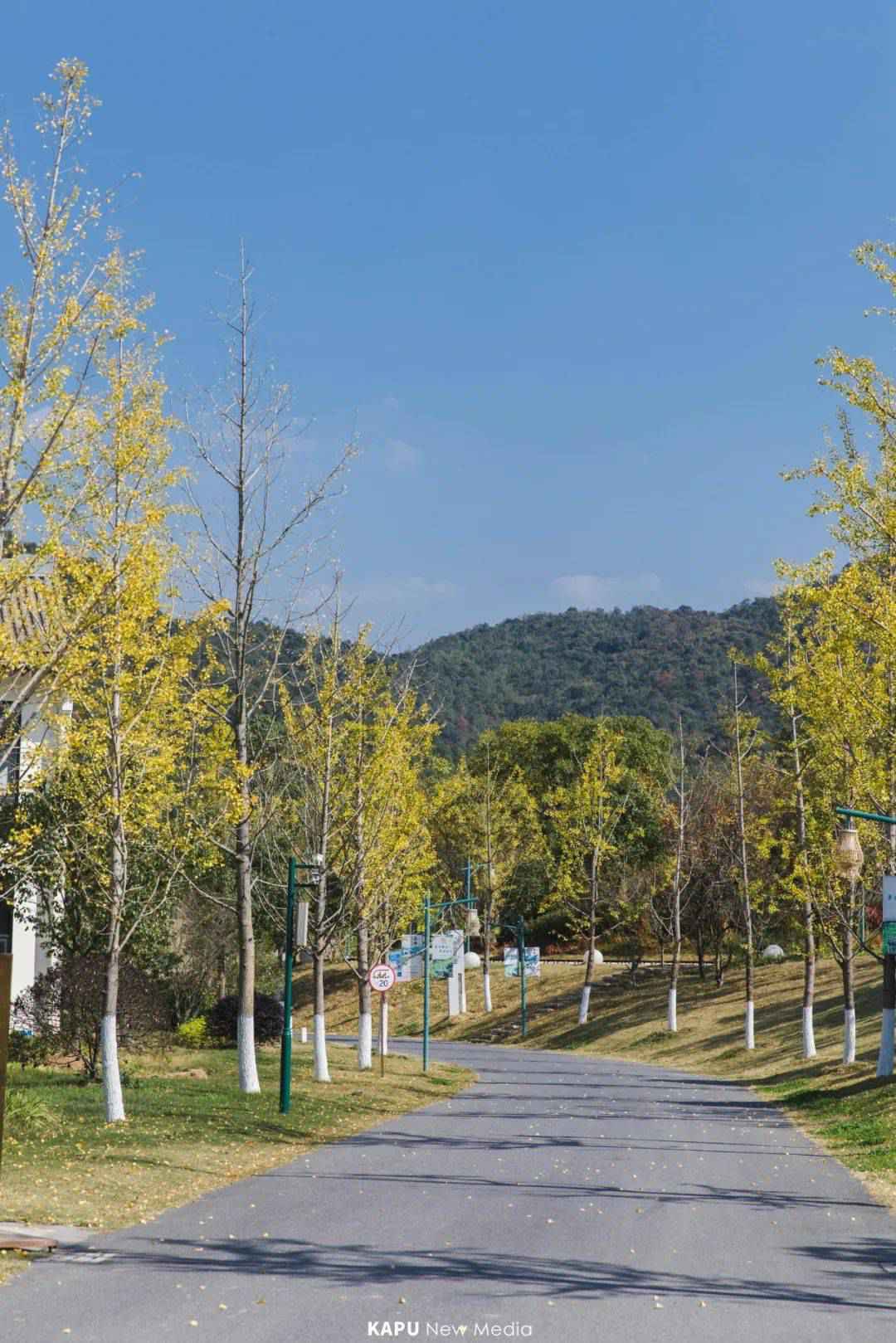 探险届顶流！骑马射箭、露营烧烤、百人团建决胜基地！市集来袭，邀你开年狂嗨3天！