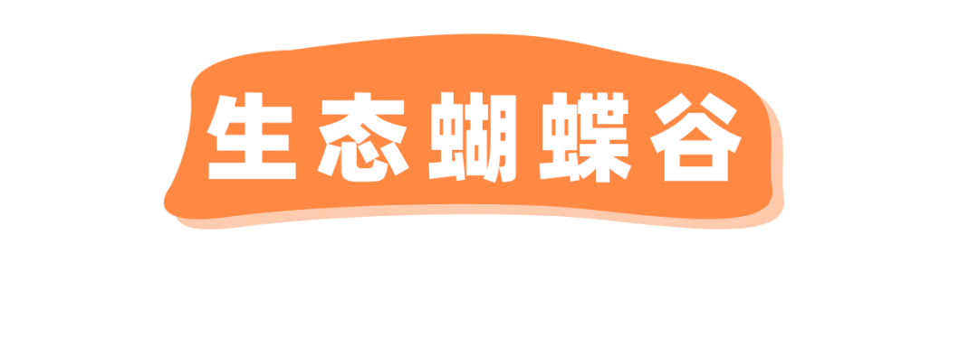 探险届顶流！骑马射箭、露营烧烤、百人团建决胜基地！市集来袭，邀你开年狂嗨3天！