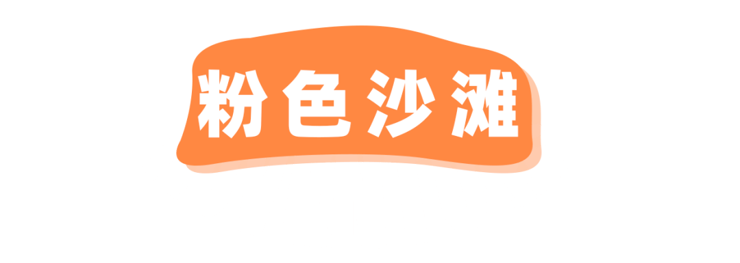 探险届顶流！骑马射箭、露营烧烤、百人团建决胜基地！市集来袭，邀你开年狂嗨3天！