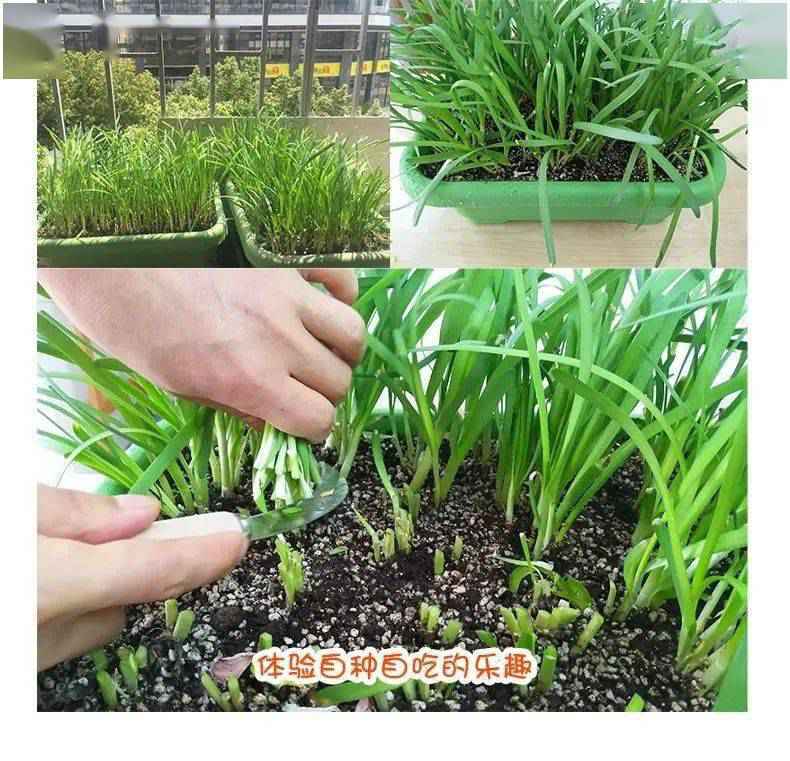 商河优选|9块9抢鲁海洗浴汗蒸票 本年最后一波