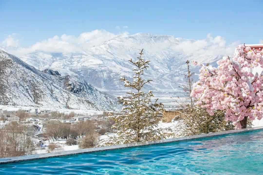 我在西藏的暖阳里吃雪糕，而你却在寒风里裹着貂！
