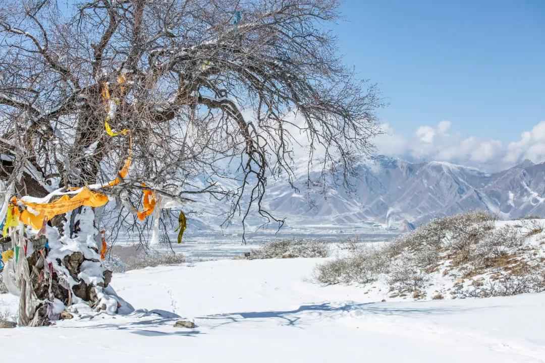我在西藏的暖阳里吃雪糕，而你却在寒风里裹着貂！